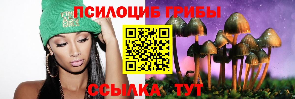 Галлюциногенные грибы прущие грибы  Вход с VPN  Изобильный 